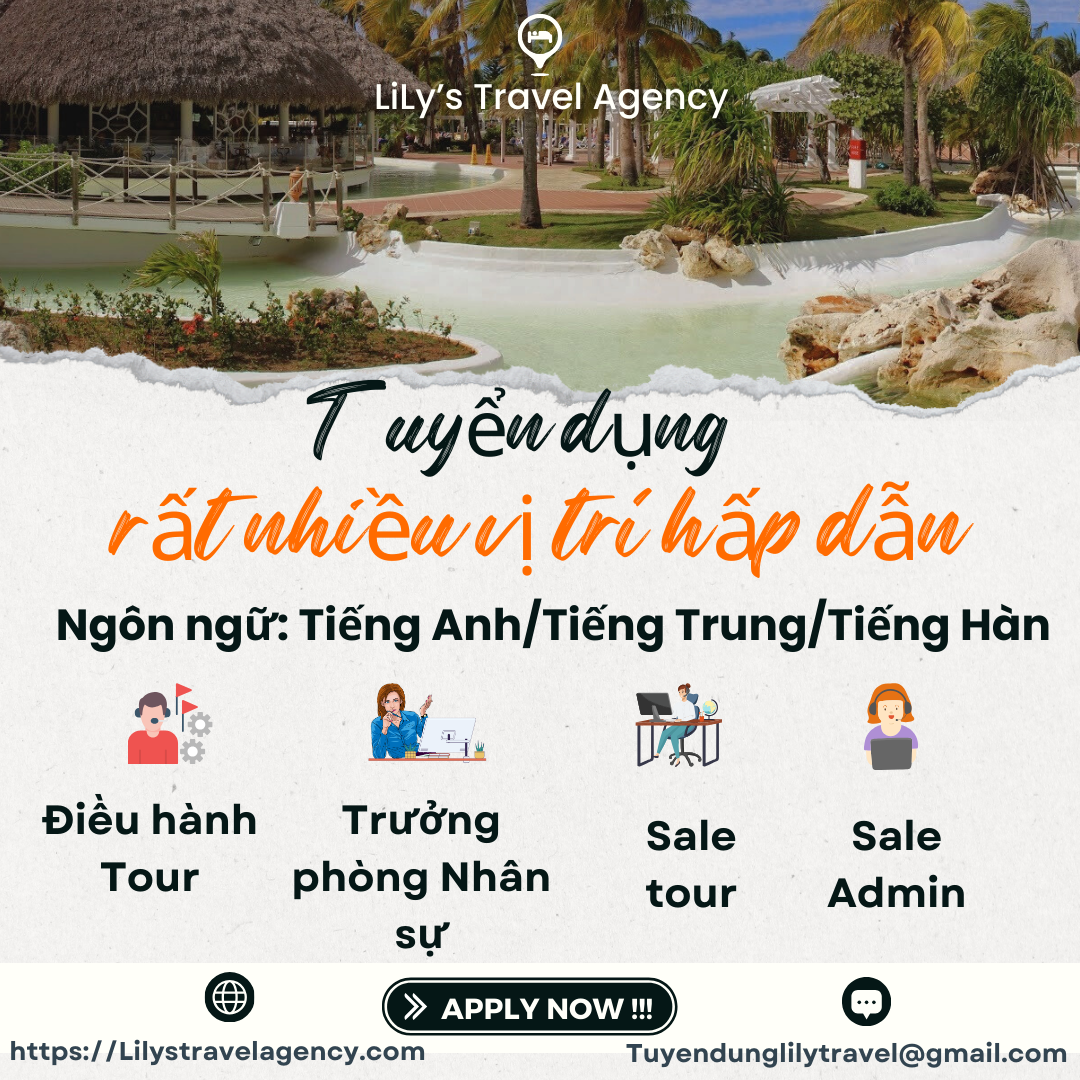 lĩnh vực hoạt động
